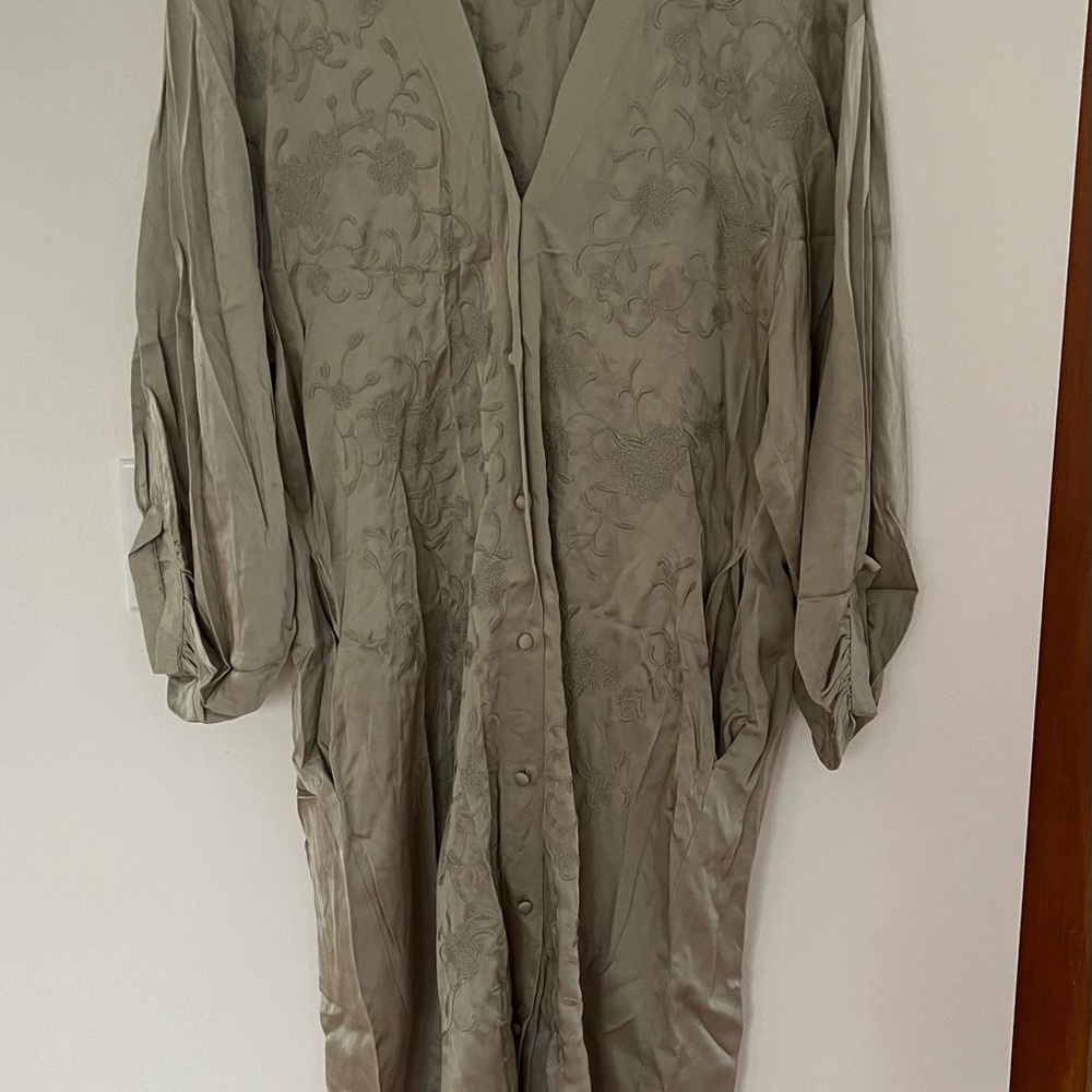 Zara dress/duster. Soft green color with pockets and embroidery